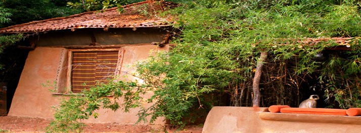 715/Taj Mahua Kothi Bandhavgarh National Park - Umaria 08.jpg